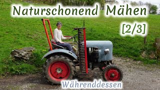 Naturschonend Mähen 23 Stellschrauben WÄHREND des Mähens – für ALLE  Ökologin erklärt [upl. by Eiramnerual]