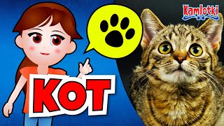 🐱 Kot – film edukacyjny dla dzieci 🐱 Rasy kotów historia kota domowego i kocie zmysły  Kamlotki [upl. by Mallissa]