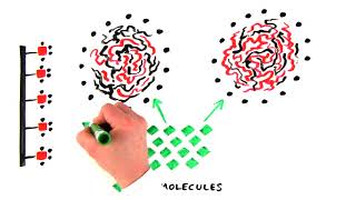 Introduction to Hydrophobic Interaction Chromatography [upl. by Geer]