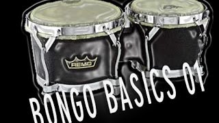 BEGINNERS GUIDE TO BONGOS  Pete Lockett  01 [upl. by Ahsiuqram]