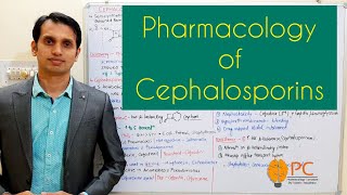 Pharmacology of Cephalosporins Beta Lactams  Cell Wall Synthesis Inhibitors [upl. by Epp]