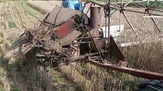 Binding and Threshing Wheat [upl. by Baynebridge]