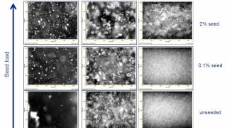 Seeding Mechanisms During Crystallization  Visualize [upl. by Illac538]