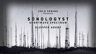 SONOLOGYST Sleep Agent fulllength visualiser [upl. by Allcot]