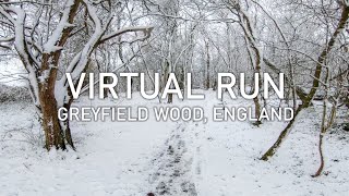 Virtual Run  Greyfield Wood in Winter  Treadmill Running Scenery [upl. by Lauree]