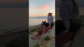 Trip to the beach in Comox BC [upl. by Verdie50]