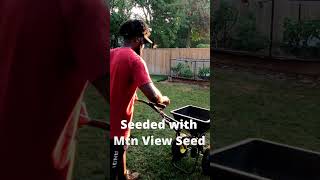 40 Day Lawn Transformation lawncare grass lawn gardening renovation [upl. by Atkinson641]