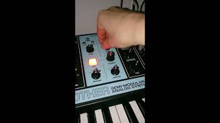 Deep house bassline sequence on Moog Grandmother [upl. by Dedra]