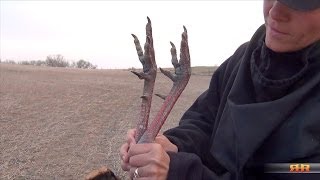 Turkey Hunting Firsttimers Mom and Son Score on Big Gobblers in Kansas [upl. by Ecirtal147]