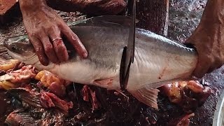 Amazing Pangasius Fish Cutting Skills By An Experts Fish Cutter In The Fish Market Of Bangladesh [upl. by Boycey101]