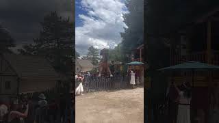 Renaissance Fair Colorado Giant Wooden Horsie [upl. by Anitsirt335]