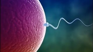 Meditation for Fertility Improve Period Fertility Subliminal Binaural Beats [upl. by Amehsat751]