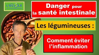 Digestion difficile et problème aux Intestins  pourquoi et comment TOUJOURS cuire les légumineuses [upl. by Baten]