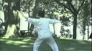 Choy Li Fut  Sup Ji Jit Fu Kuen  Grandmaster DocFai Wong  1985 [upl. by Bard]