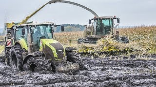 JOHN DEERE Traktoren im Schlamm  Schlammschlacht  Maishäckseln  Claas Jaguar  Fendt Traktoren [upl. by Maison]