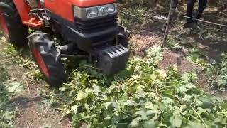 Mulching Machine for Grapes farming [upl. by Ihcehcu]