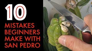 10 Mistakes Beginners Make With San Pedro Cactus [upl. by Hartnett]