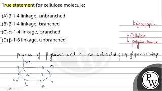 True statement for cellulose molecule [upl. by Davison221]