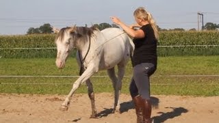 Vrijheidsdressuur uitleg Jambette deel 2 [upl. by Faye]