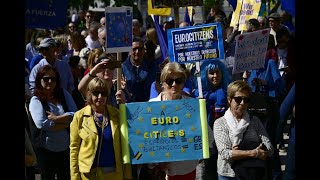 IN PICS The best protest signs from Madrid’s antiBrexit march [upl. by Ahseenak]