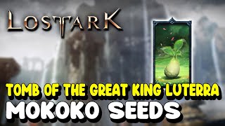 Lost Ark ALL MOKOKO SEED LOCATIONS in TOMB OF THE GREAT KING LUTERRA [upl. by Chambers327]