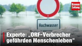 Experte „ORFVerbrecher gefährden Menschenleben“  kronetv NEWS [upl. by Enialehs]