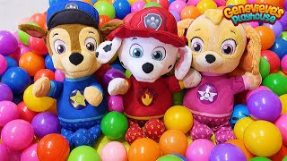 Paw Patrol get a New House amp Visit Haunted Halloween Ghost House Toy Learning Videos for Kids [upl. by Liew753]