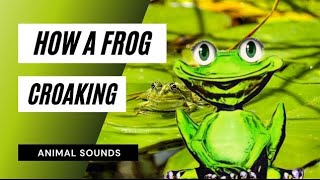 what Is Croaking Sound  Croaking Sound Kya Hai [upl. by Deelaw]