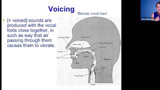 44 SPEECH Phonemes 22mins [upl. by Galateah]