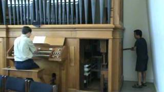 Handpumped Pipe Organ [upl. by Notlew942]