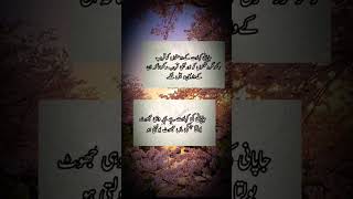 Dil Dil khrash jumlay Allah quotes subcribetomychann subcribetomychann shorts yiutubeviralshort [upl. by Anilok]