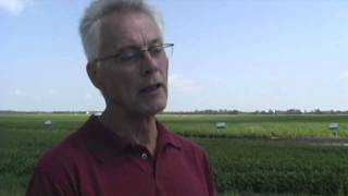 Growing Soybeans  Part 4  Seed Inoculation [upl. by Grissom]