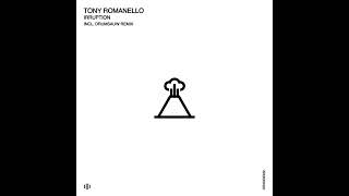 Tony Romanello  Irruption Drumsauw Remix [upl. by Lyrahc52]