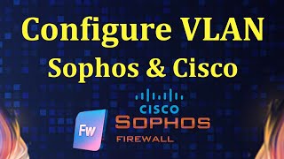 How to configure VLAN on Sophos Firewall and cisco switch  Msolved Tech [upl. by Eita]