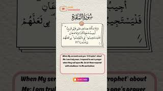 The Power of Prayer Surah AlBaqarah 186 youtubeshorts ytshort [upl. by Ycrep]