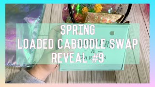 Spring Loaded Caboodle Swap Reveal 9 by Liana Itsadeal [upl. by Etteroma]