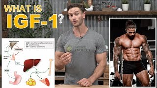 What is IGF1 Growth Factors for Bodybuilding by Thomas DeLauer  Deer Antler Velvet Extract [upl. by Hurlow]