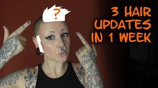 3 hair updates in 1 week [upl. by Rooker243]