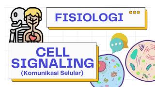 Komunikasi SelCell Signaling Autocrine Paracrine Endocrine amp Transduksi Signal  Fisiologi 101 [upl. by Onabru909]