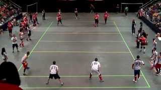 Canada vs USA  Mens Final  Dodgeball World Championship 2014  1st Half [upl. by Yrac262]