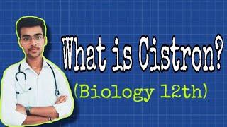 Cistron  Polycistronic amp Monocistronic gene  Ch 6 Molecular basis of inheritance  by Aniket tyagi [upl. by Ojeillib603]