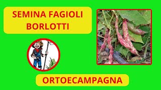 SEMINA FAGIOLI BORLOTTI RAMPICANTI [upl. by Nodnart795]