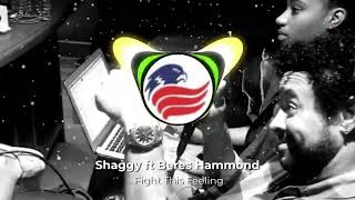 Shaggy feat Beres Hammond  Fight This Feeling Bass Boosted 1080 [upl. by Onitselec]