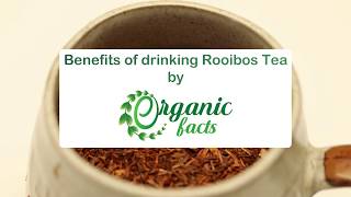 12 Impressive Benefits of Rooibos Tea  Organic Facts [upl. by Skolnik]