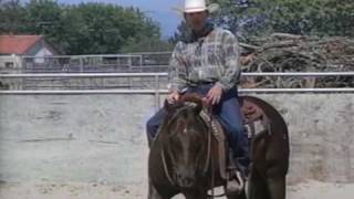 Reining Training Your Horse to Spin pt2 [upl. by Woodring]