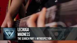 Lechuga  Madness Guitar Playthrough [upl. by Tillford]