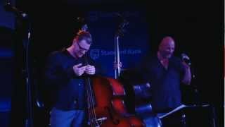 Double Double Bass featuring Hein van de Geyn amp Martin Sjostedt [upl. by Gautious511]