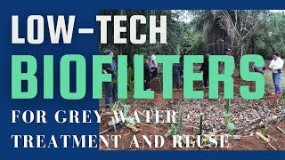 LowTech Biofilters for Grey Water Treatment and Direct Reuse [upl. by Anilev338]