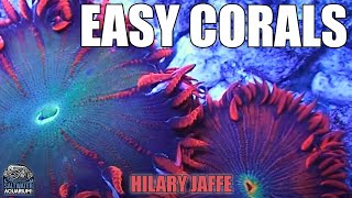 SOFT CORALS  Easy Low Maintenance Hardy Corals For Beginners  Hilary Jaffe [upl. by Ardnatal]