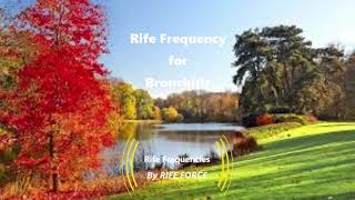 Bronchitis  Rife Frequency [upl. by Aitat]